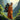 Chop Wood, Carry Water - Hilltop Packs LLC