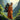 Chop Wood, Carry Water - Hilltop Packs LLC