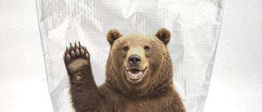 The Complete Guide to Bear Bag Hanging