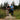Why backpacking? - Hilltop Packs LLC