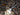 Fenix PD25R Rechargeable LED Flashlight - Hilltop Packs LLC