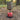 Fuel Coaster - Ground Insulator for your cook kit - Hilltop Packs LLC