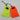Rock Sack Kits (bear bag throw kit) - Hilltop Packs LLC