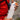 ThruBottle by CNOC - Hilltop Packs LLC